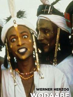 Wodaabe, les bergers du soleil 
