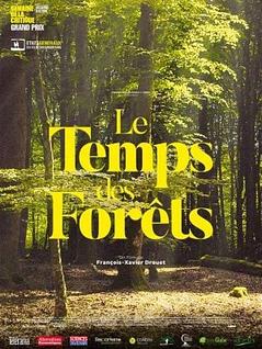 Le temps des forêts