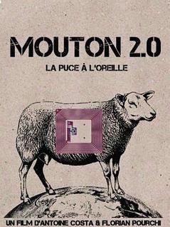 MOUTONS 2.0 – La puce à l’oreille