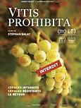 Vitis prohibita