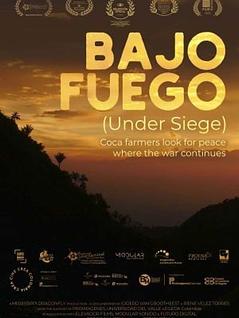 Baja fuego 