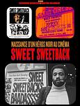 Sweet Sweetback's Baadasssss song. A l’origine de la Blaxploitation