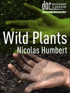 Wild plants 