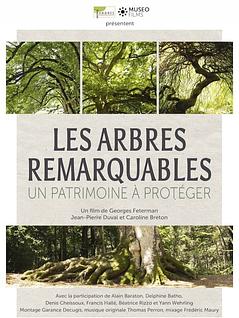 Les arbres remarquables
