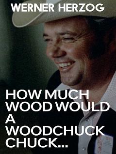 How Much Wood Would a Woodchuck Chuck