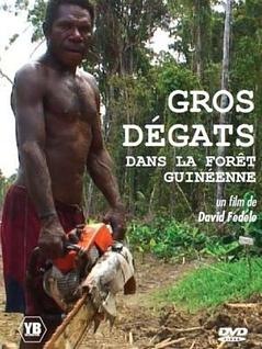 Gros dégâts dans la forêt guinéenne