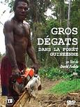 Gros dégâts dans la forêt guinéenne