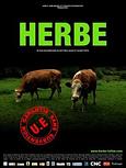 Herbe